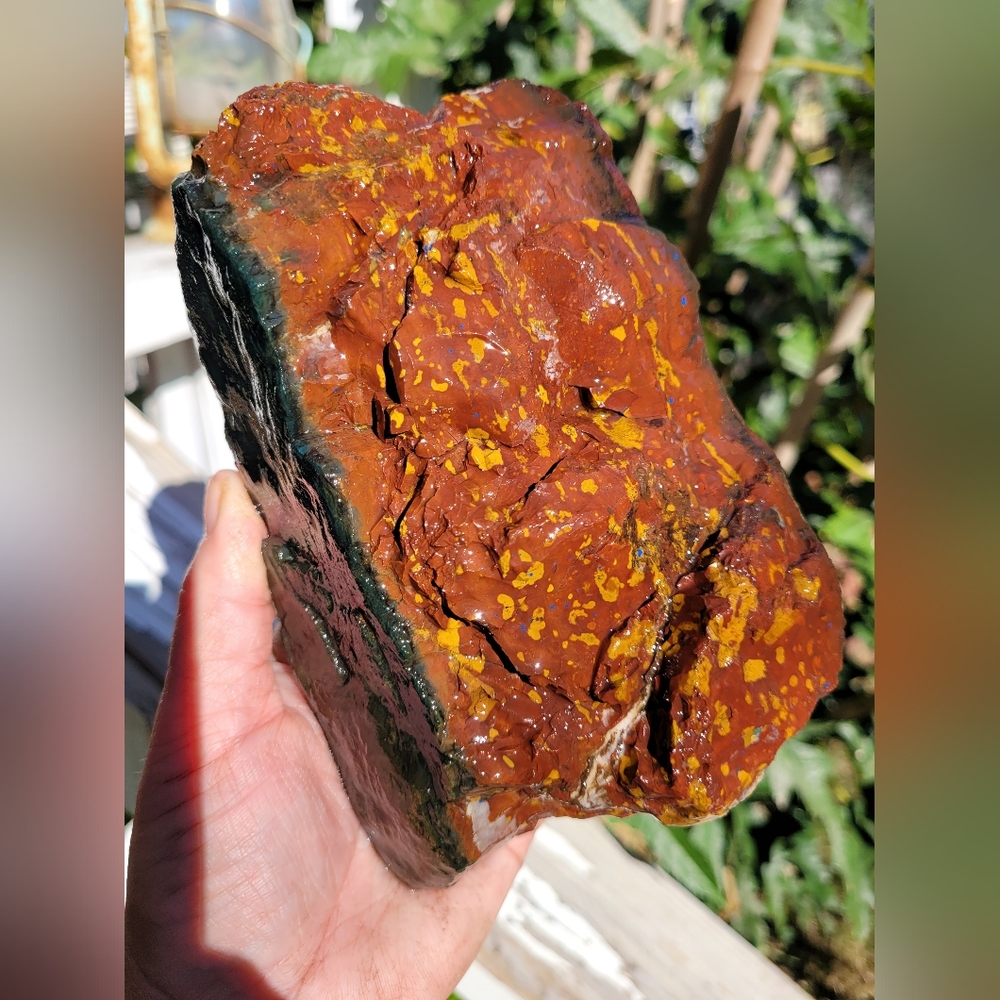 Huge AAA++Vibrant Rough Colorful Raw Natural Jasper Lapidary Specimen